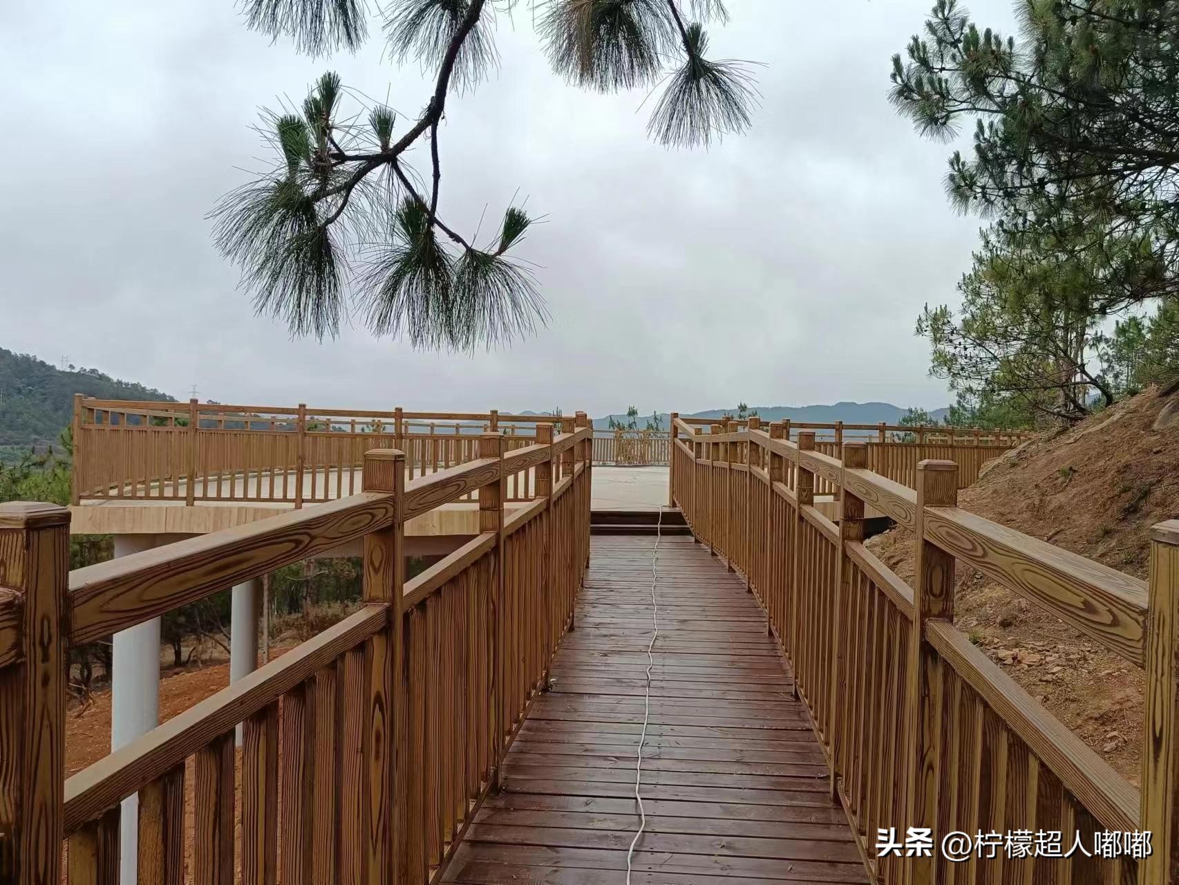 Tips and tricks for metal imitation wood grain paint iNEWS