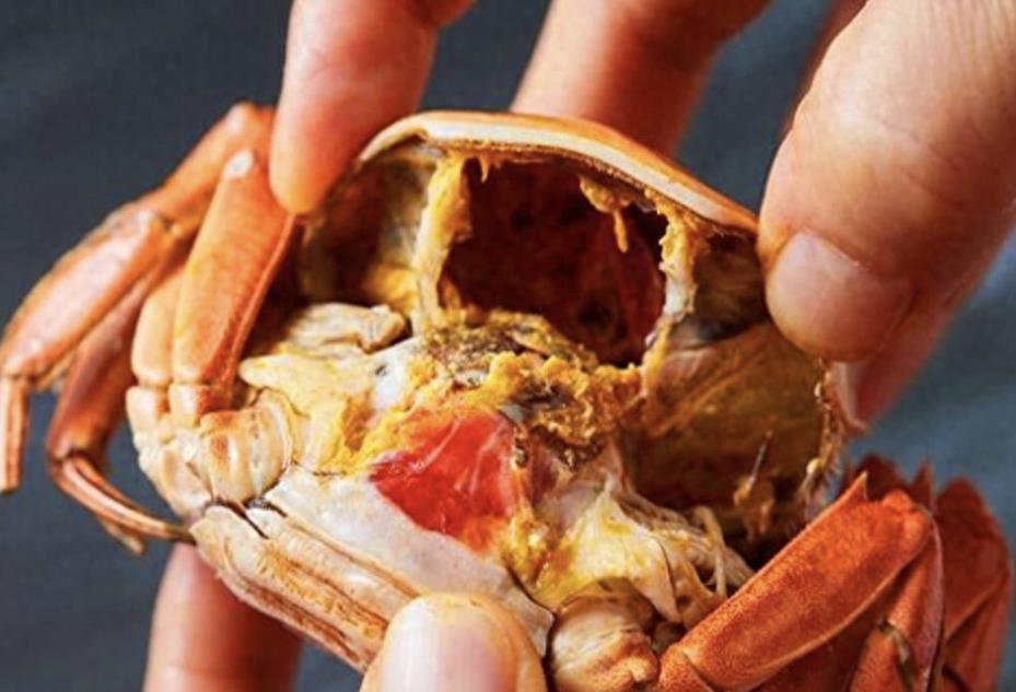 What happens if you boil crabs alive? British scientists discovered