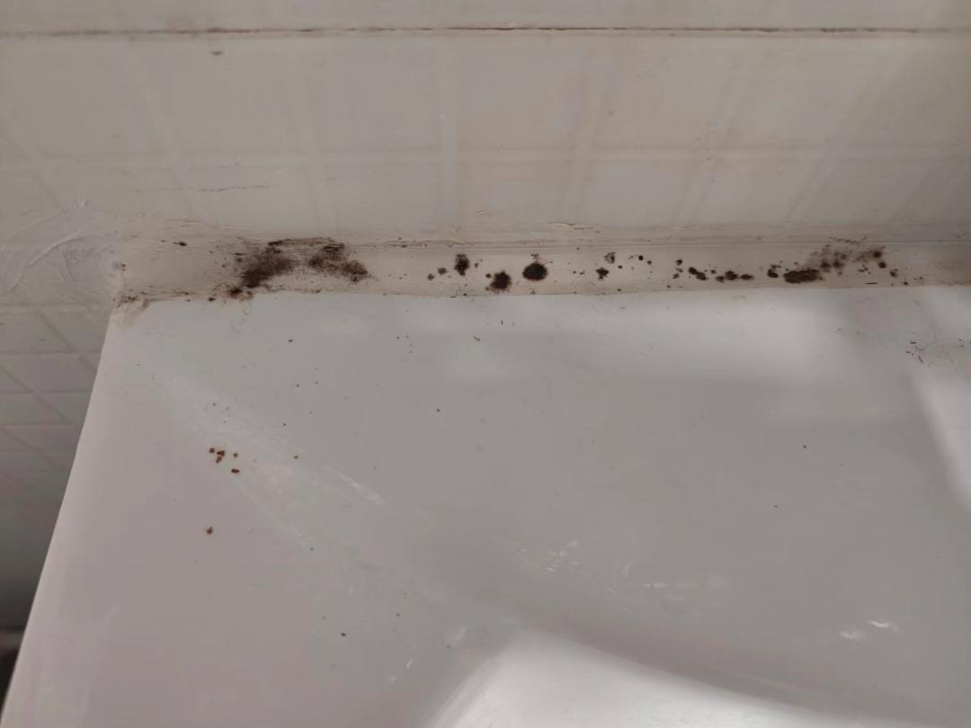 There are small black spots on the sink, is there something wrong with