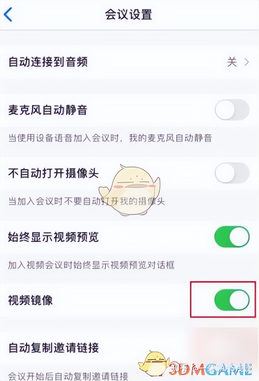What is the use of the mirroring function of Zoom meeting video? iNEWS