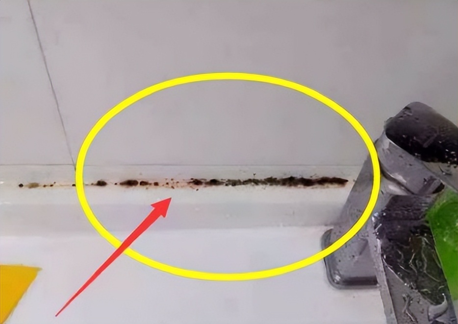 What should I do if the toilet seat is moldy?Don't change the glass