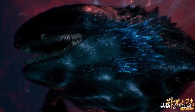 The Evil Orca King wants to explode, but it is a pity that he meets ...