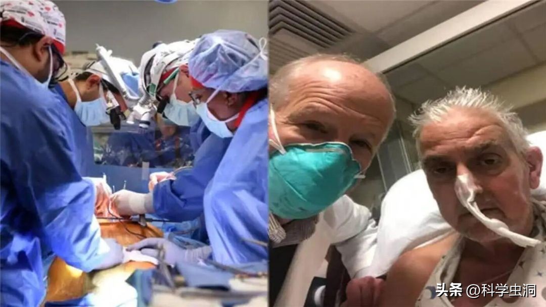 Lard Definition Chinese at Michael Barry blog