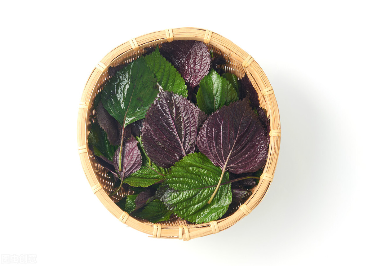 Traditional Chinese Medicine (4) What should I do if I have diarrhea