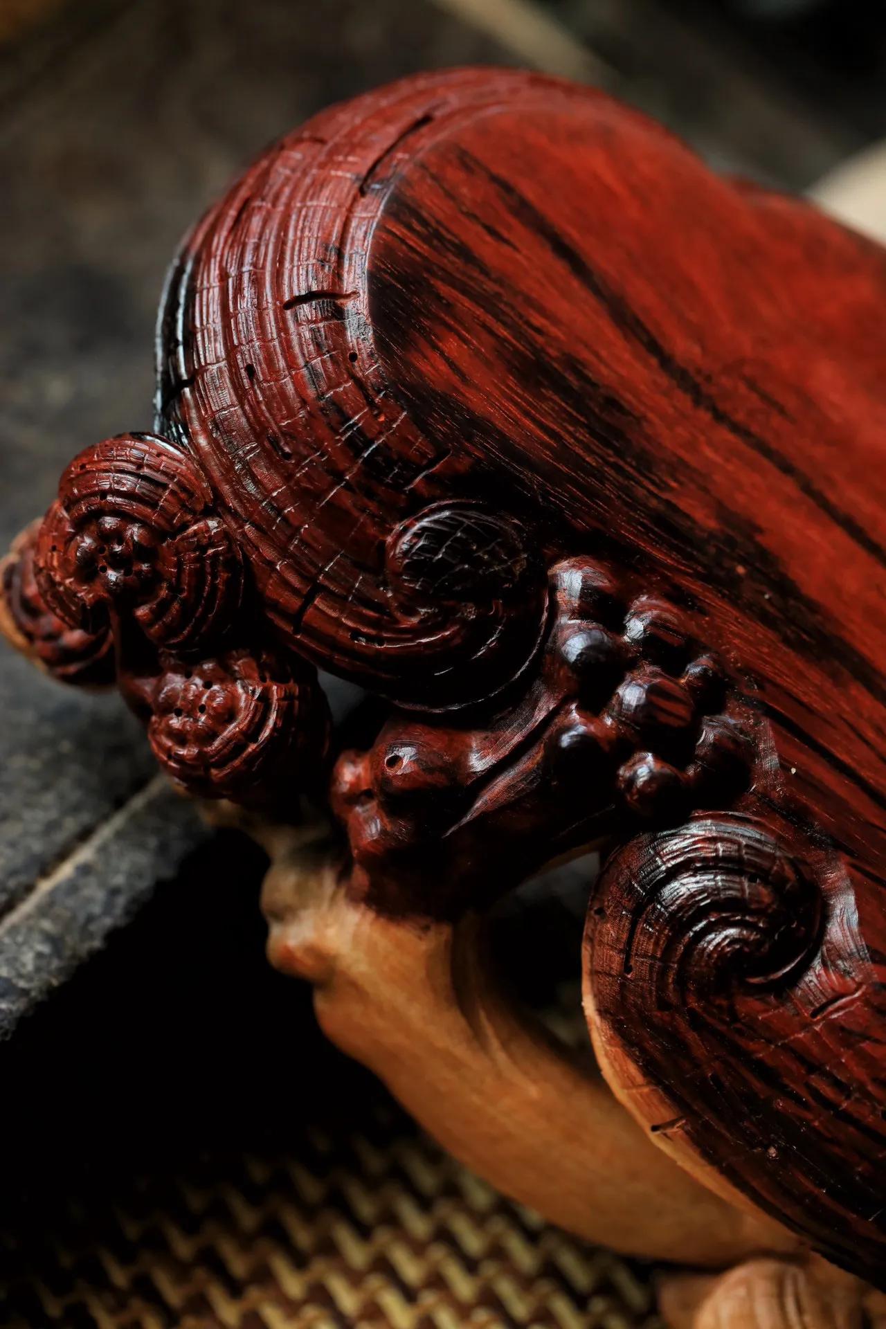 Indian lobular red sandalwood ganoderma - iNEWS