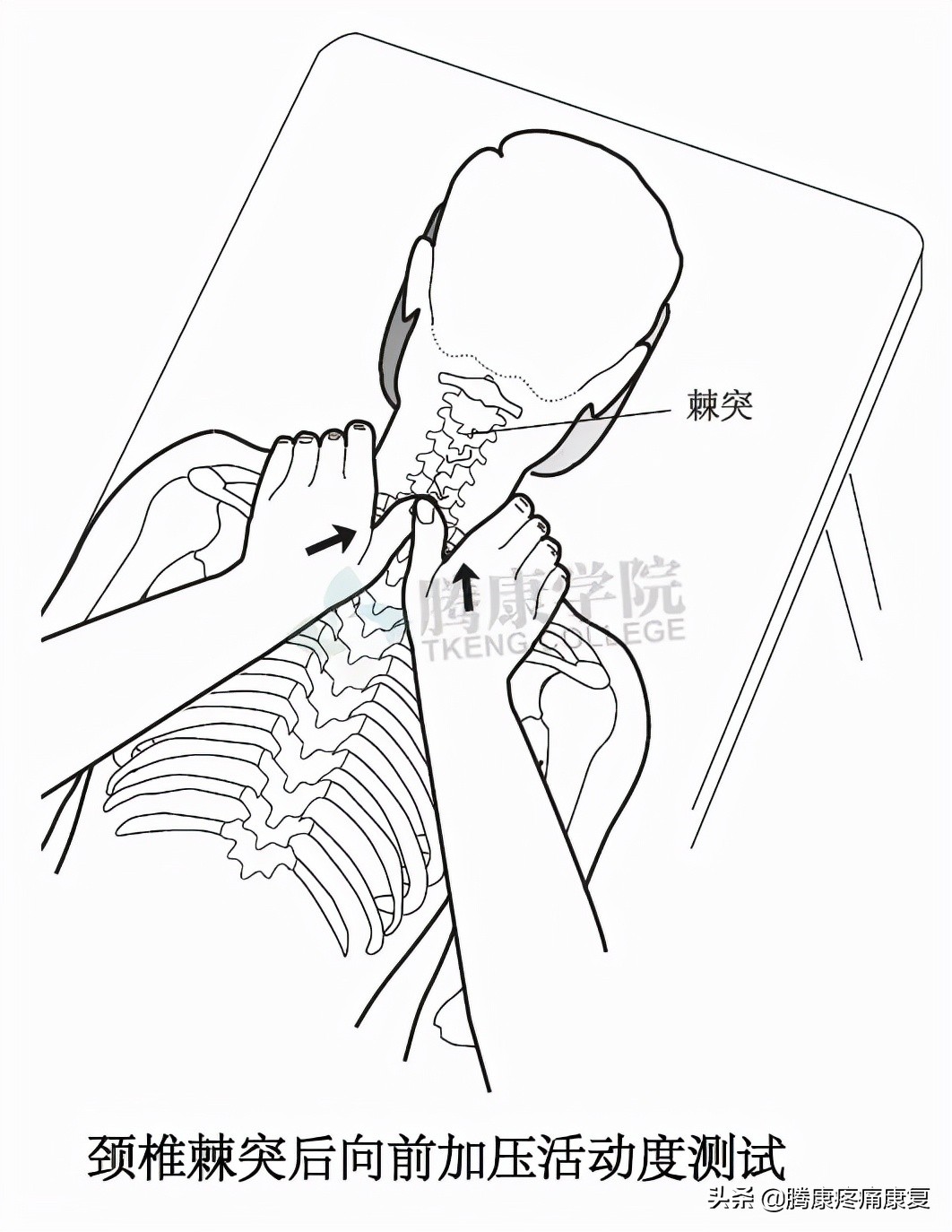 Passive Cervical Rotation All Differences – Cervical and Lumbar Passive Movement Exams - iNEWS