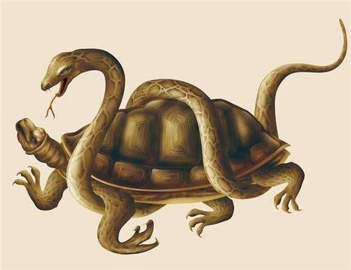 After the ancients built a well, why did they put two turtles in it? I ...