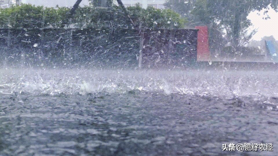 As the old saying goes, "a year of drought and flood depends on the