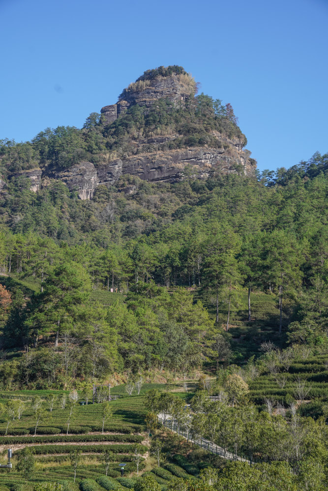 "Swallow Nest", a small tourist spot in Wuyi Mountain, Renmei