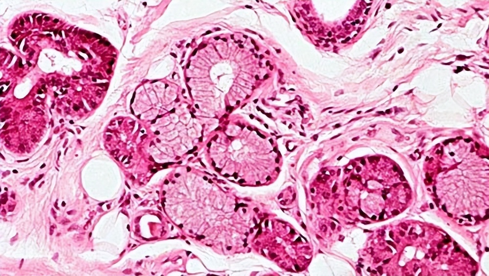 Is the itching below condyloma acuminatum? - iNEWS