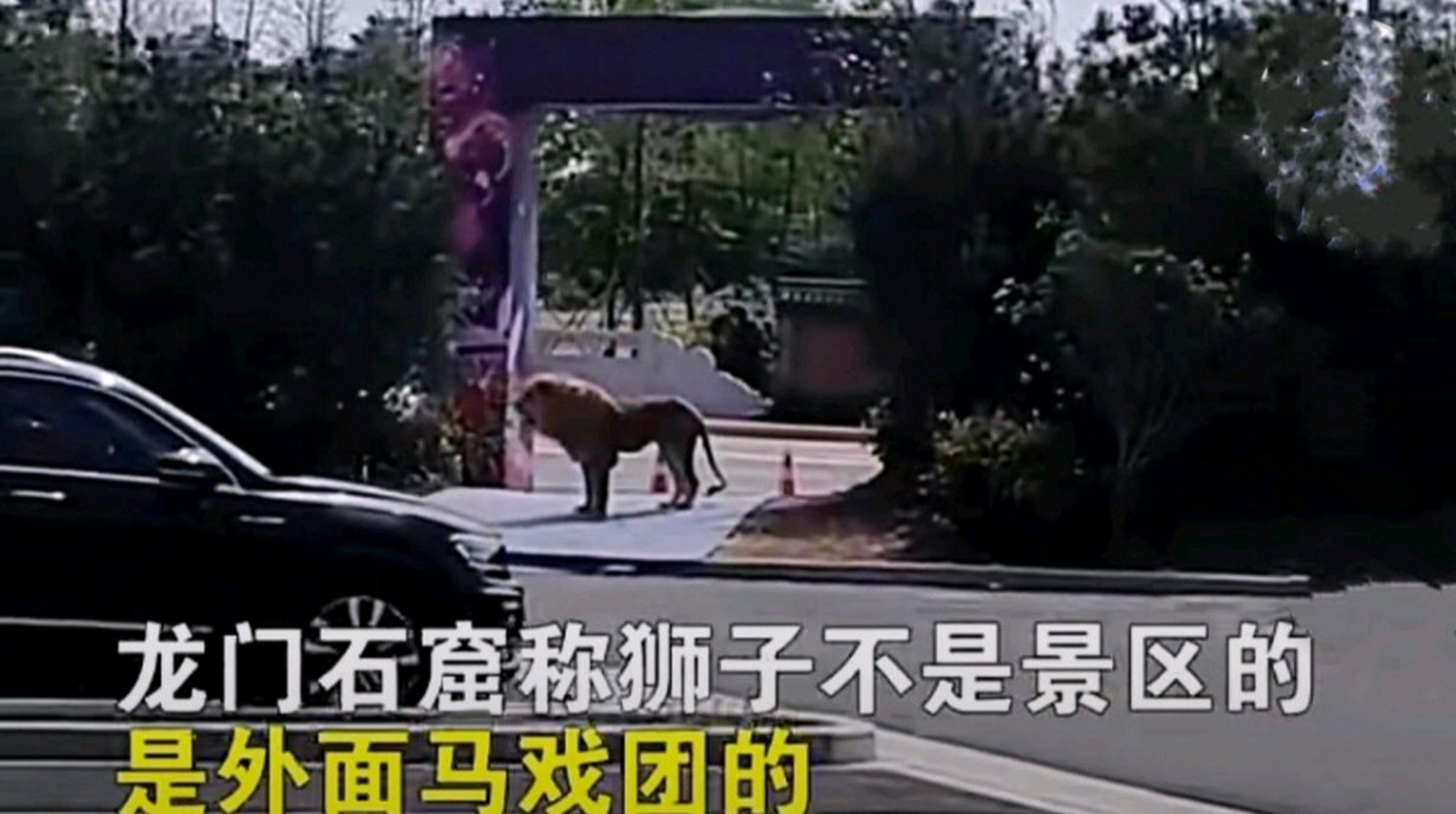 When the circus lion performed, the audience was scared away when they ...