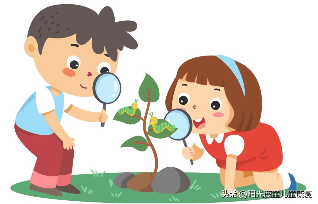 Sharing of training focus and goals of observation training for ...
