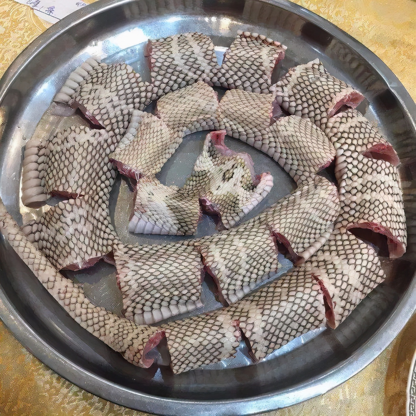 Do you dare to eat such delicious snake meat? iNEWS