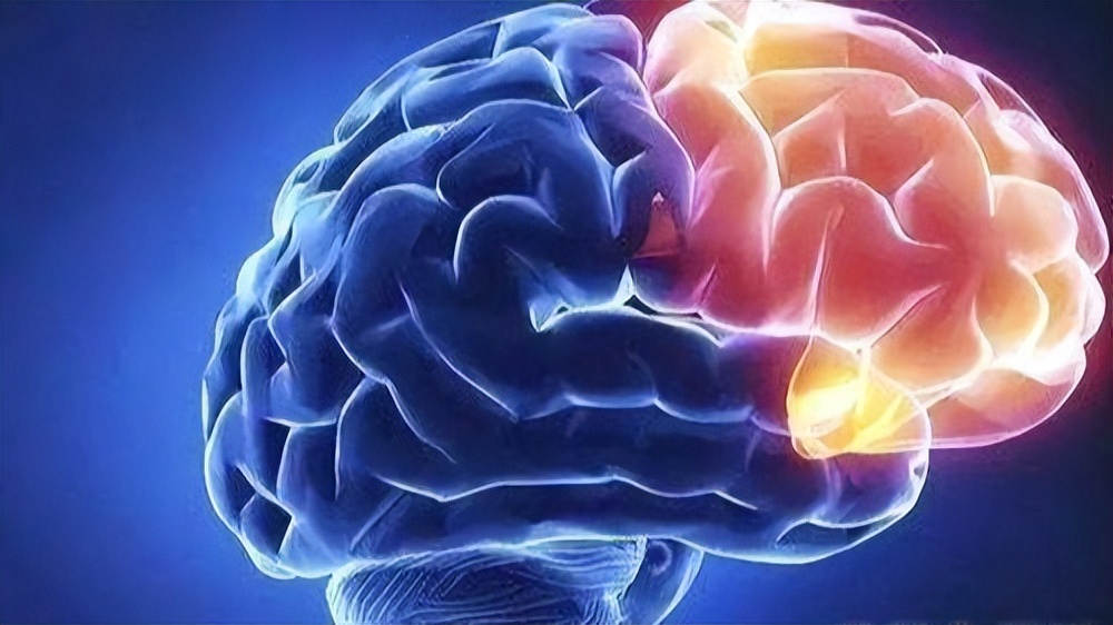 Ten ways to train the brain to improve intelligence, no longer be ...