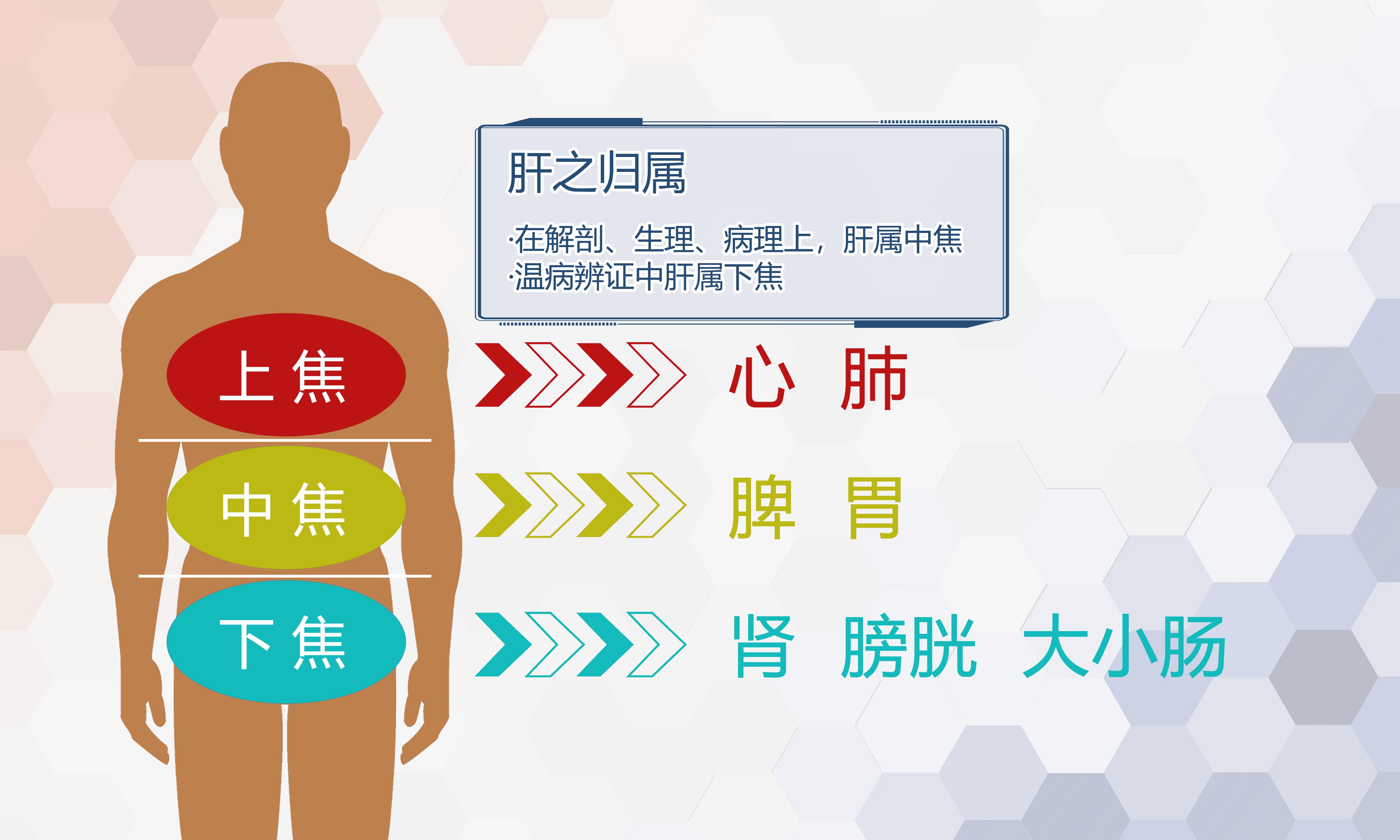 Traditional Chinese medicine treats dampheat betting type prostatitis