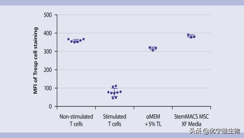 Isolation, Expansion and Phenotyping of Bone Marrow Mesenchymal Stem ...