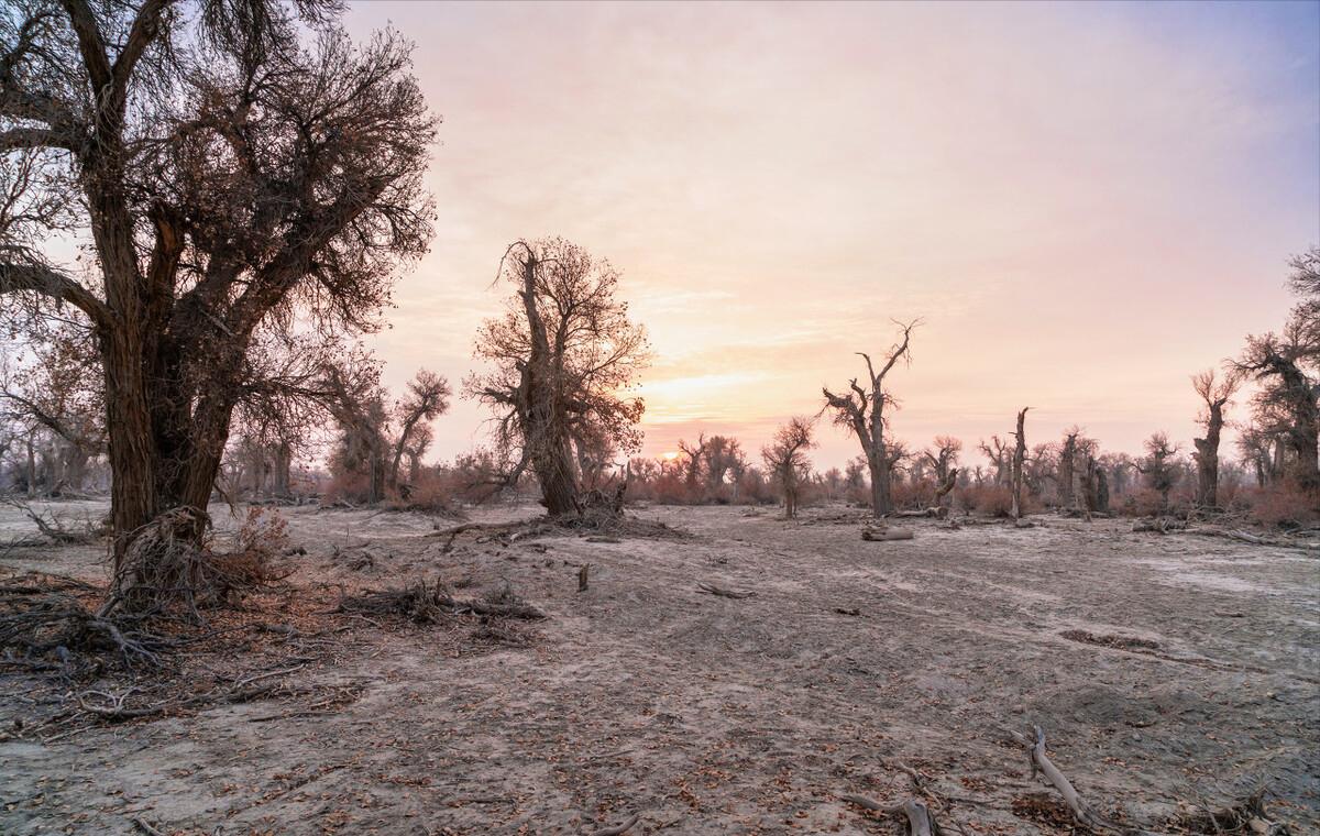 A village covers an area of 2,000 square kilometers, in the center of ...