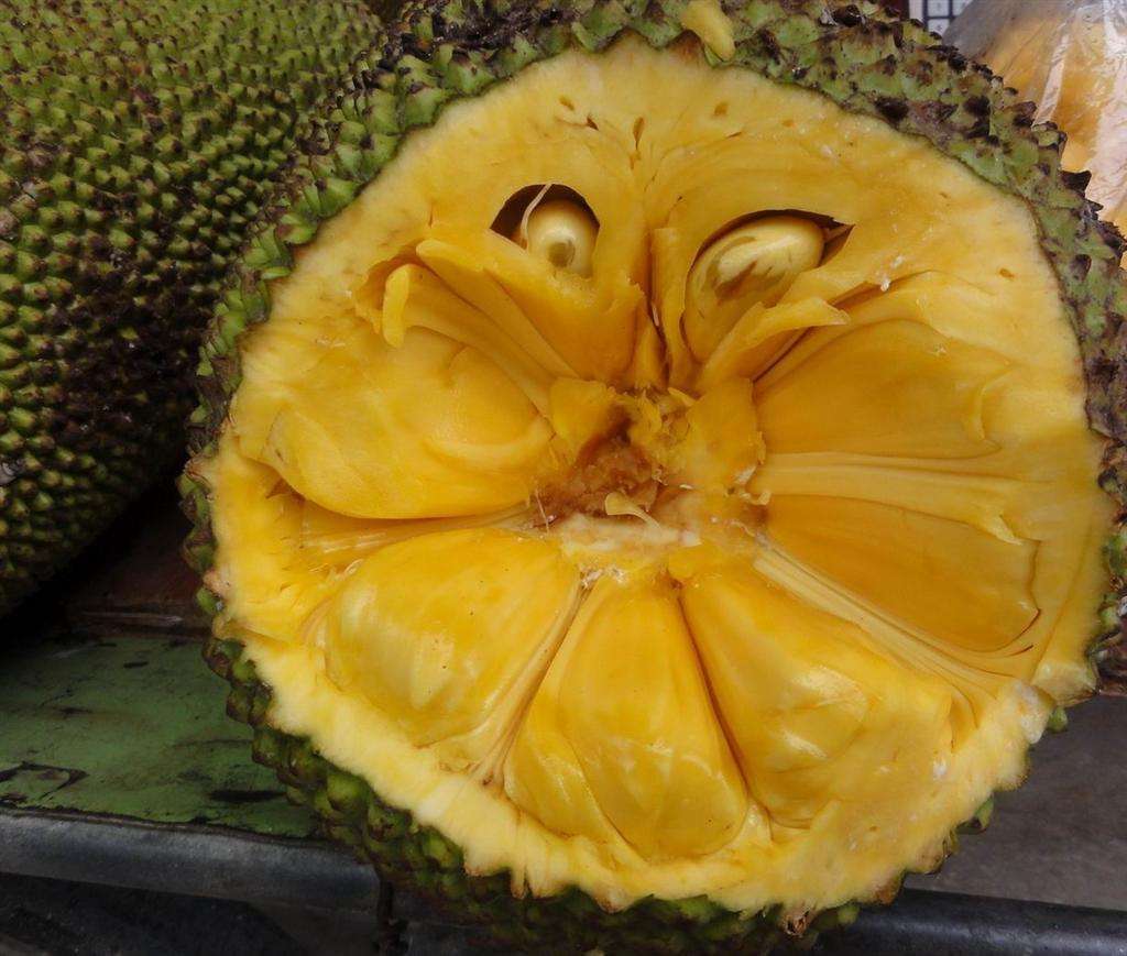 Jackfruit is delicious and topnotch, especially suitable for people