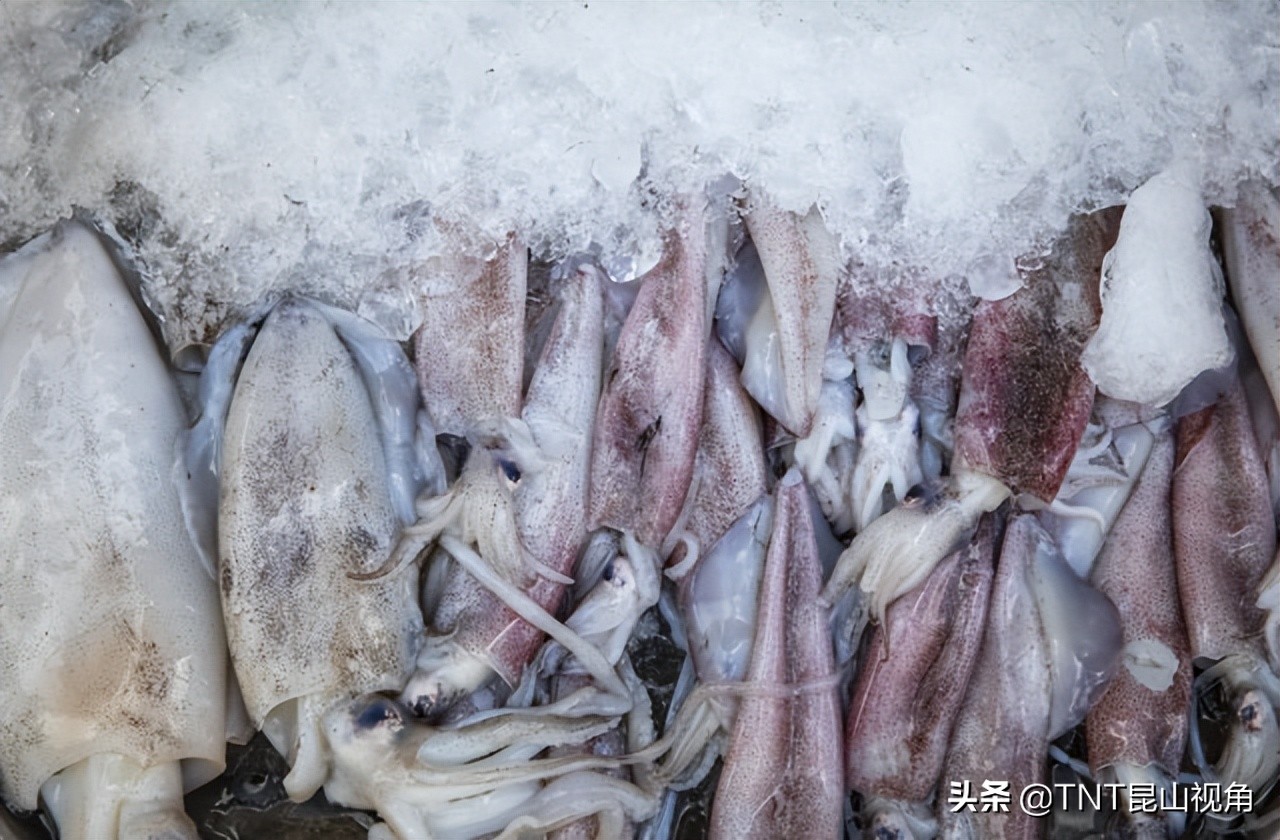 The nutritional value, efficacy and role of squid iNEWS