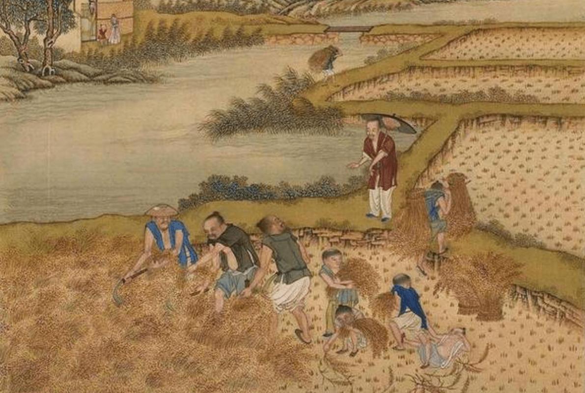 The Economic Basis of Ancient China—Small Peasant Economy iMedia