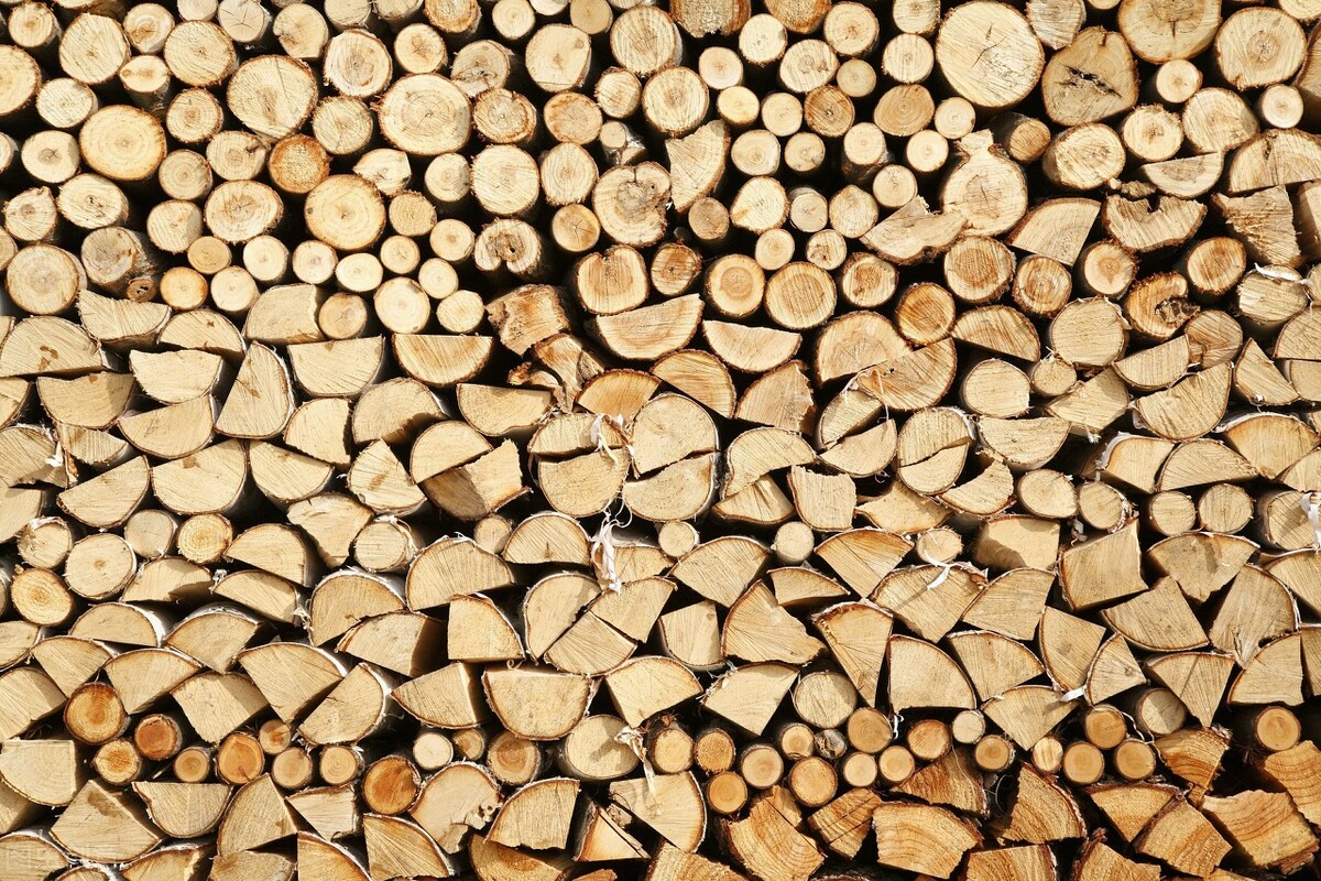 Iron birch is called the "King of Wood". It cannot be cut with axe and