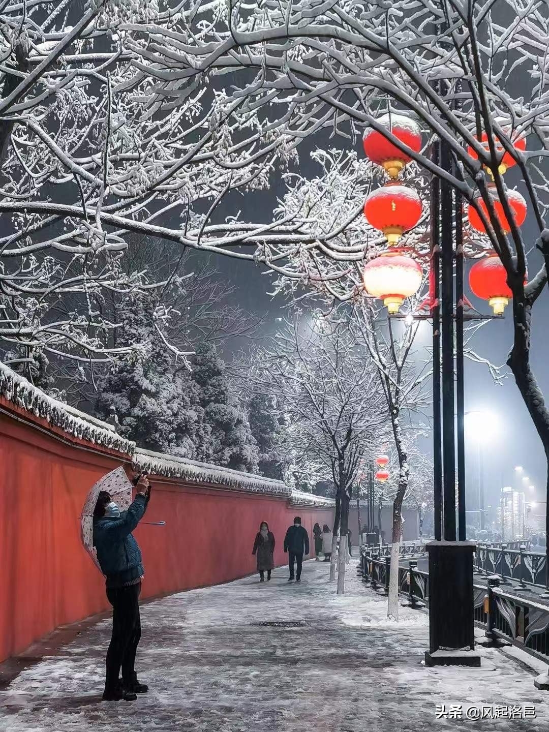 Wind, flowers, snow and moon fall in Luoyang, the ancient capital of 13