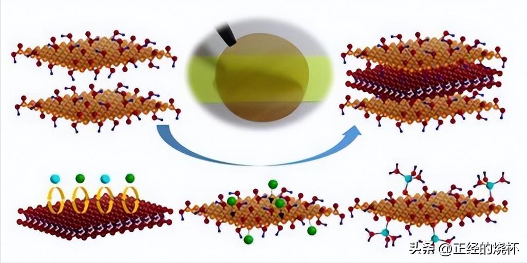Polylysine modified graphene, how to achieve protein enrichment