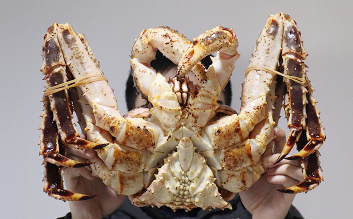 Crabs: Are you addicted to eating hairy crabs?Real and fake crabs, why