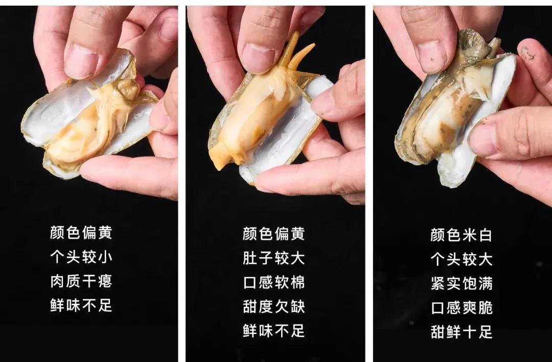 Take you to pick the ingredientsSea clams in season iNEWS