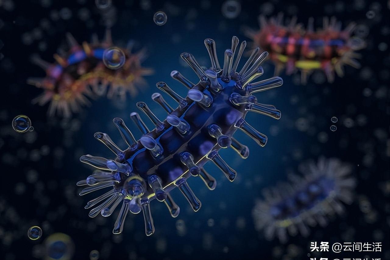 The dirtiest part of the human body, most people have licked it, it