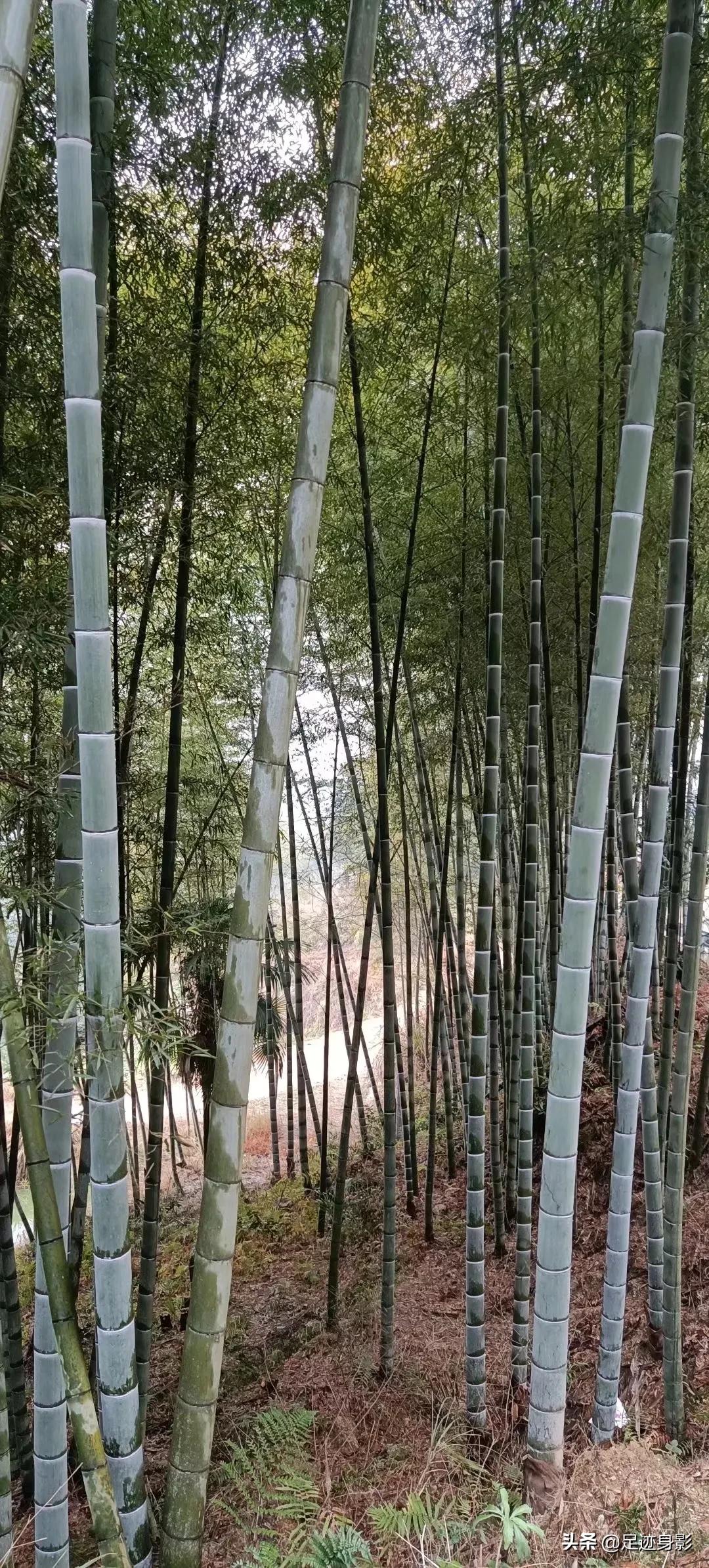 韓非子名言名句 資訊咖