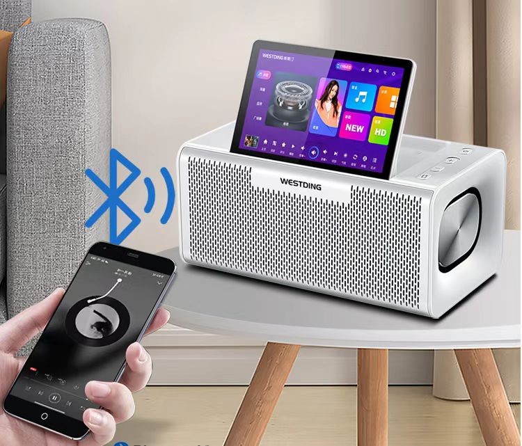 How to choose active speakers and passive speakers - iNEWS