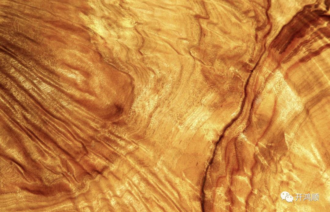 Chinese Giants—King of Oriental Rare Woods - iNEWS