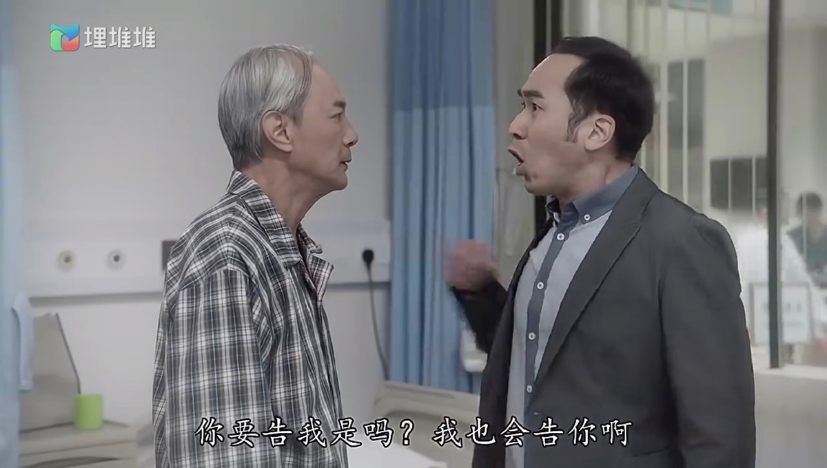 Real estate disputes, industrial injury claims, domestic violence and