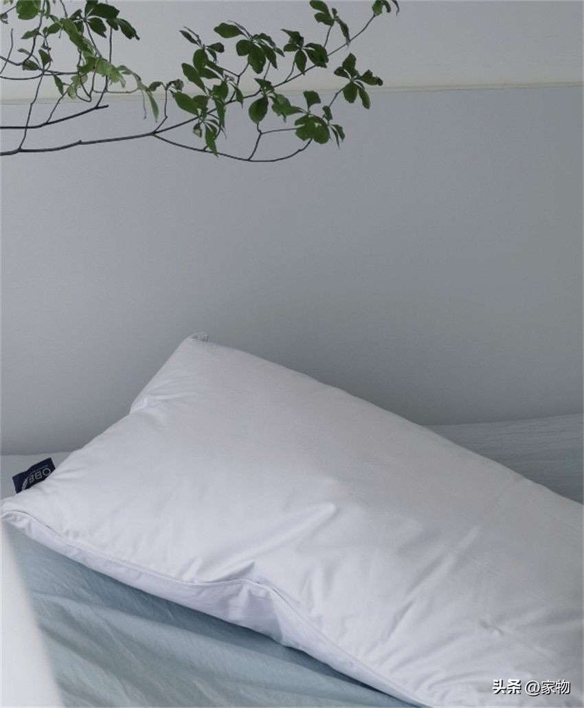 If I buy another pillow, I definitely don't want these "5 types"! It's