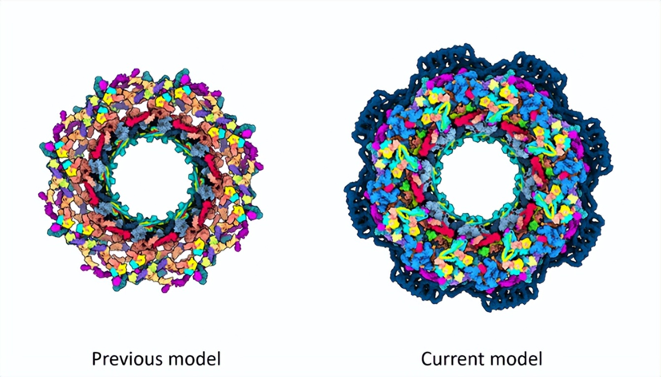 AlphaFold, which once "changed the rules of the game", began to make