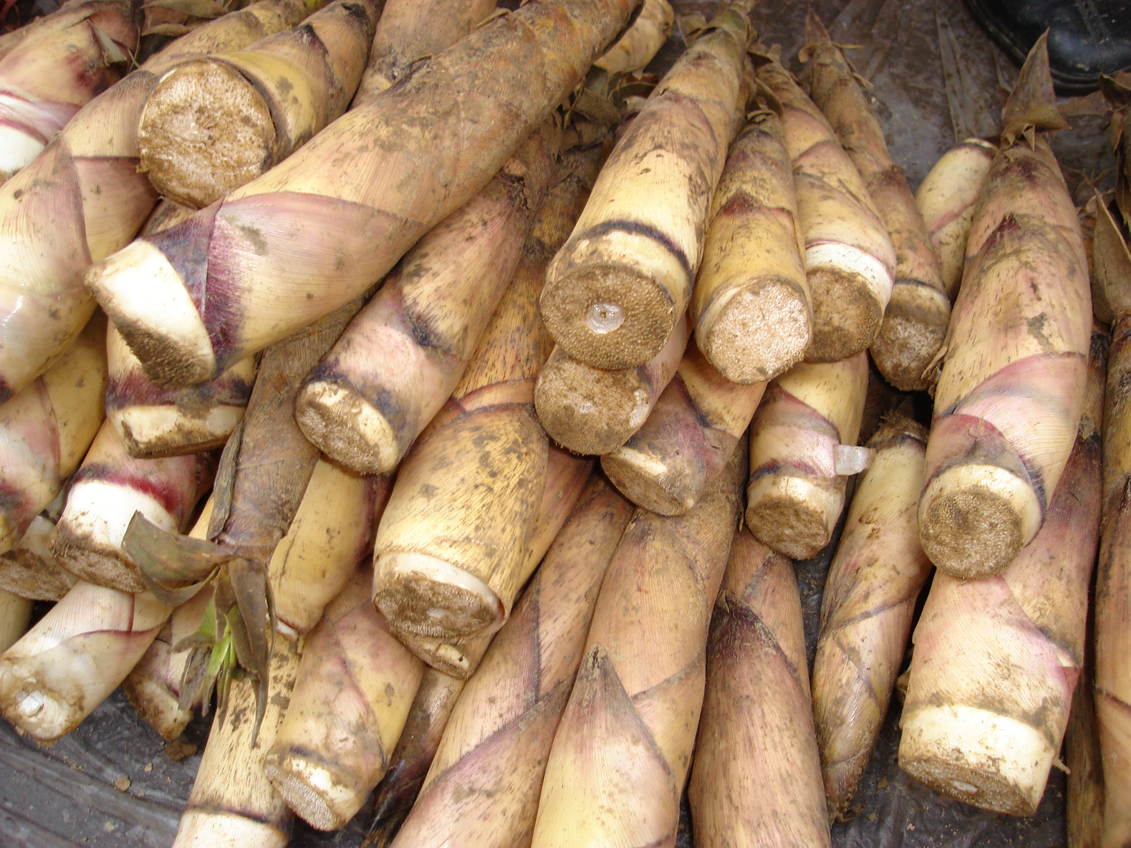 You can eat fresh bamboo shoots all year round in Honghe, Yunnan iNEWS