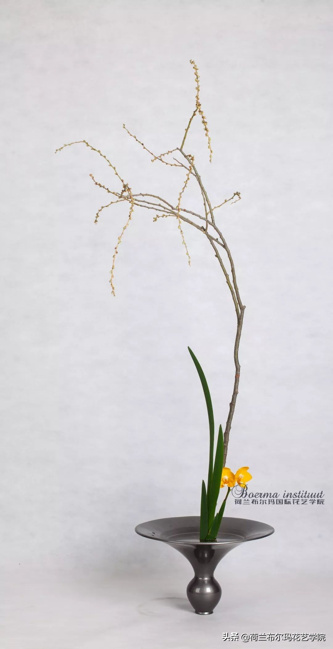 "Balance" in floral design iNEWS