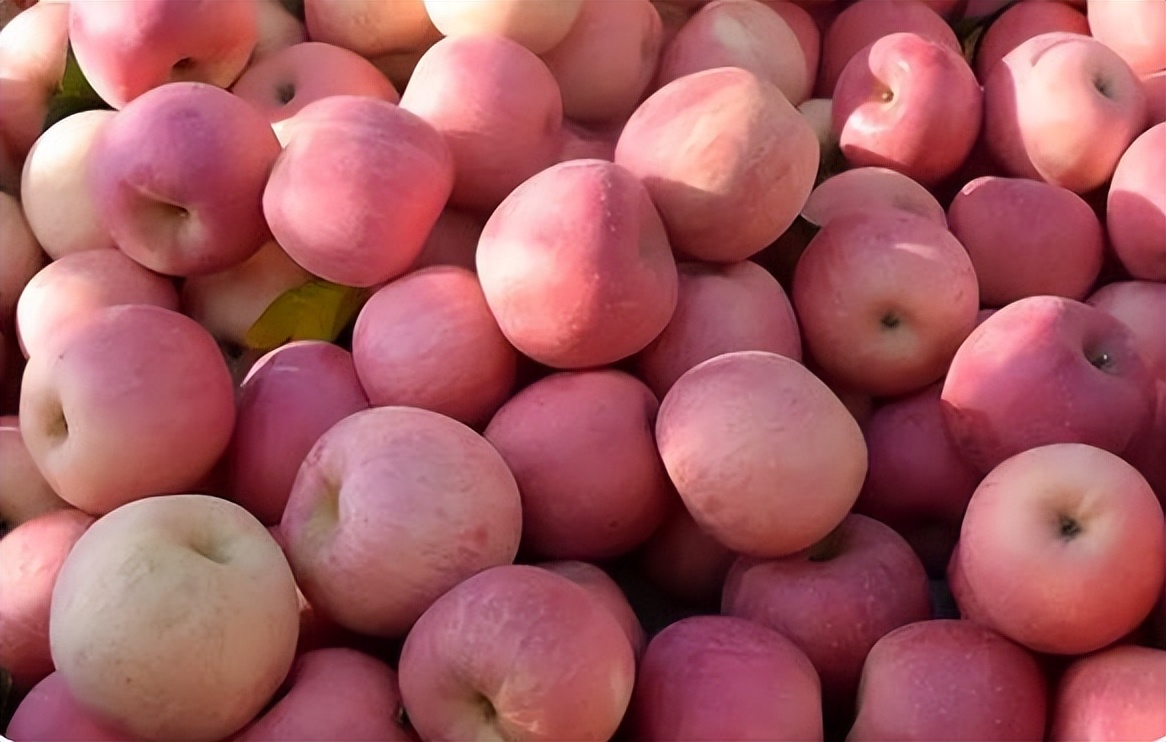 Insist on eating apples on an empty stomach after getting up in the morning, after a period of