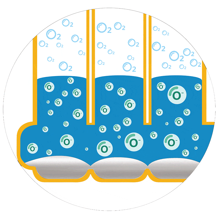 Which steel radiator is better? This is more costeffective! iNEWS