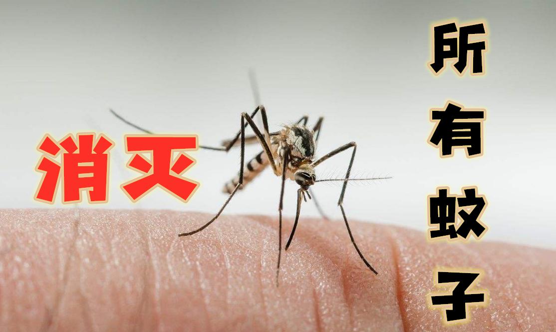 What would happen to the world if all mosquitoes were extinct? iMedia