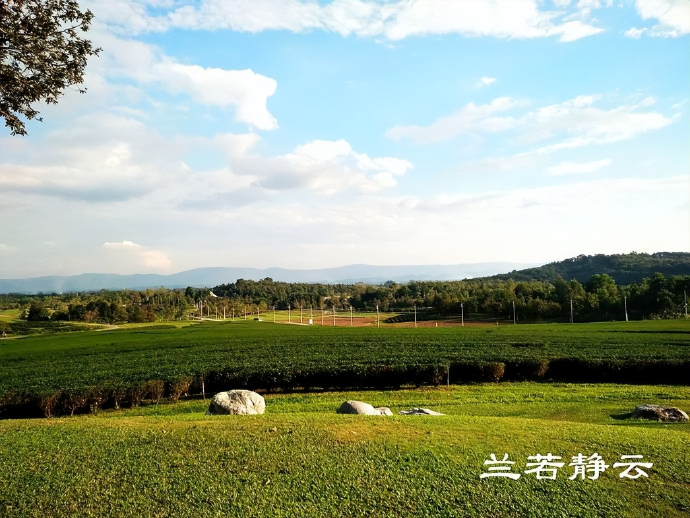 Northern Thailand, Chiang Rai: 