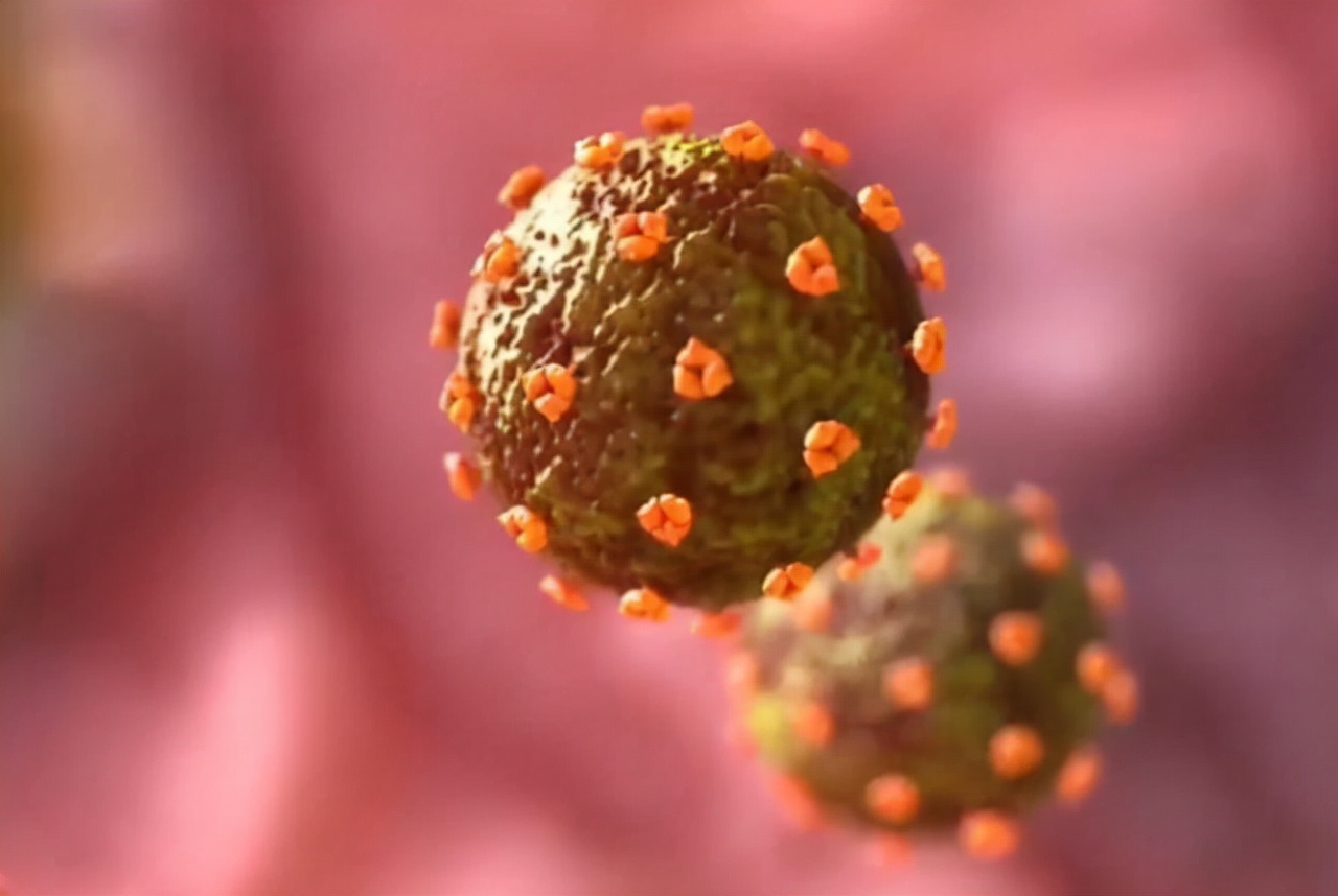 How does HIV "invade" the human body?Those who are interested may wish