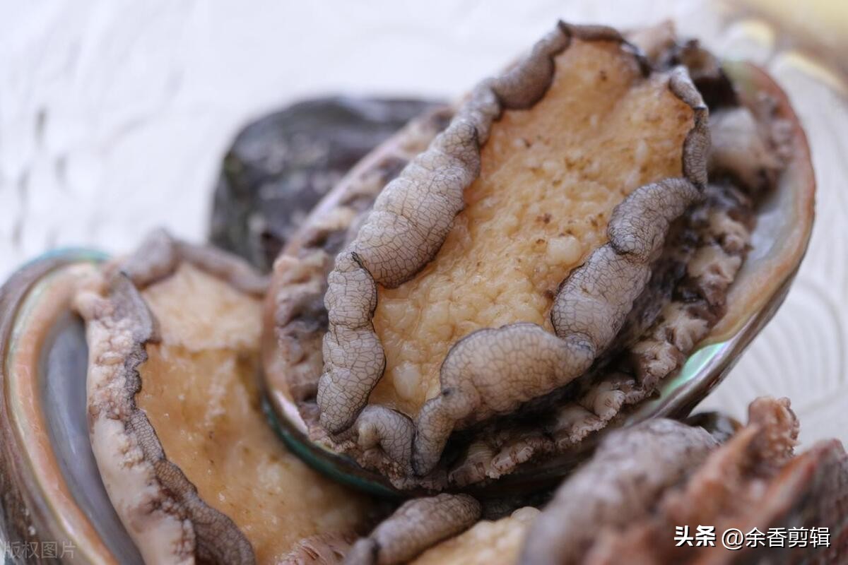 Teach you how to deal with clean live abalone iNEWS