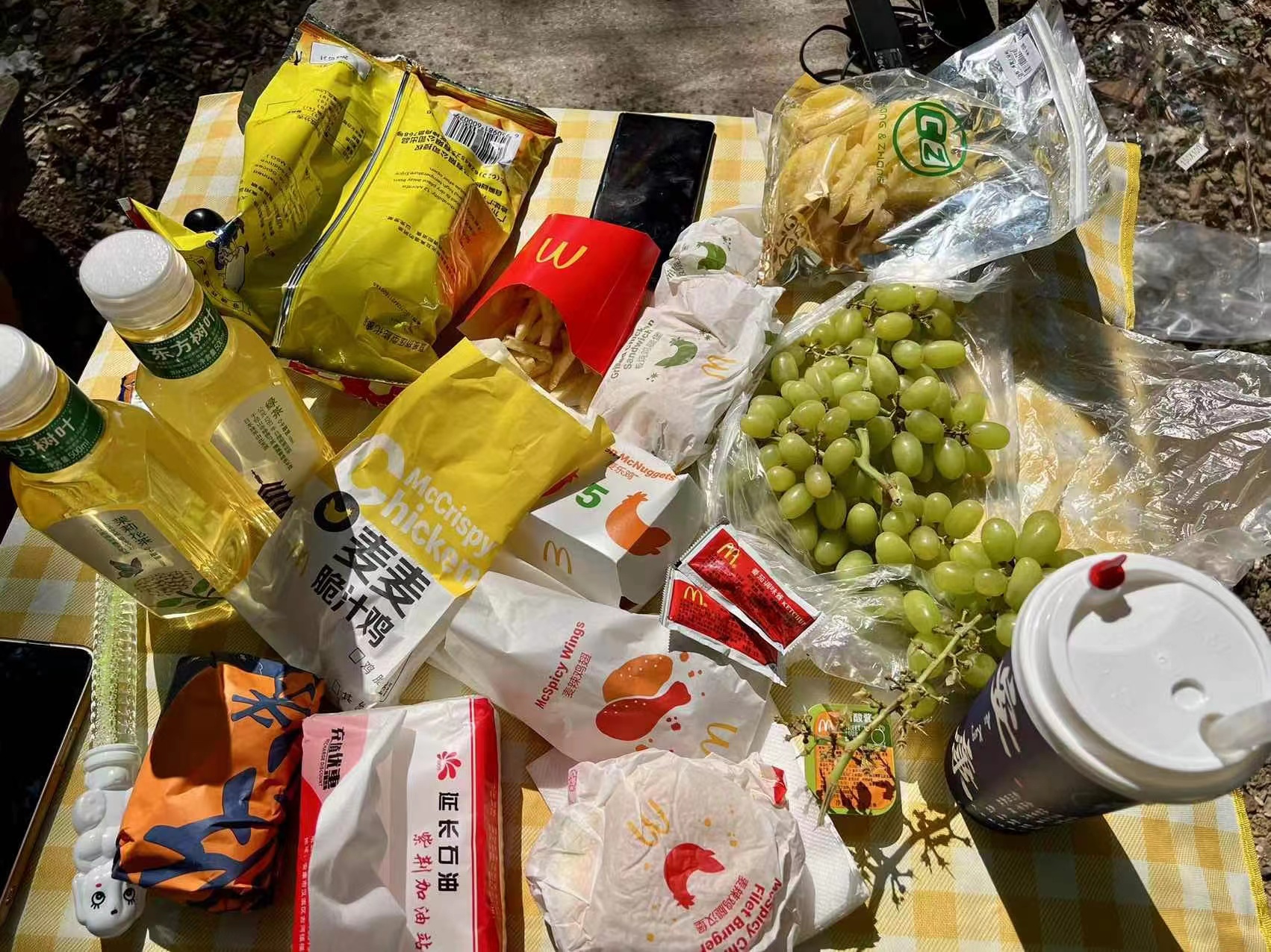 Autumn tours without camping are soulless. What should the family prepare for camping in autumn