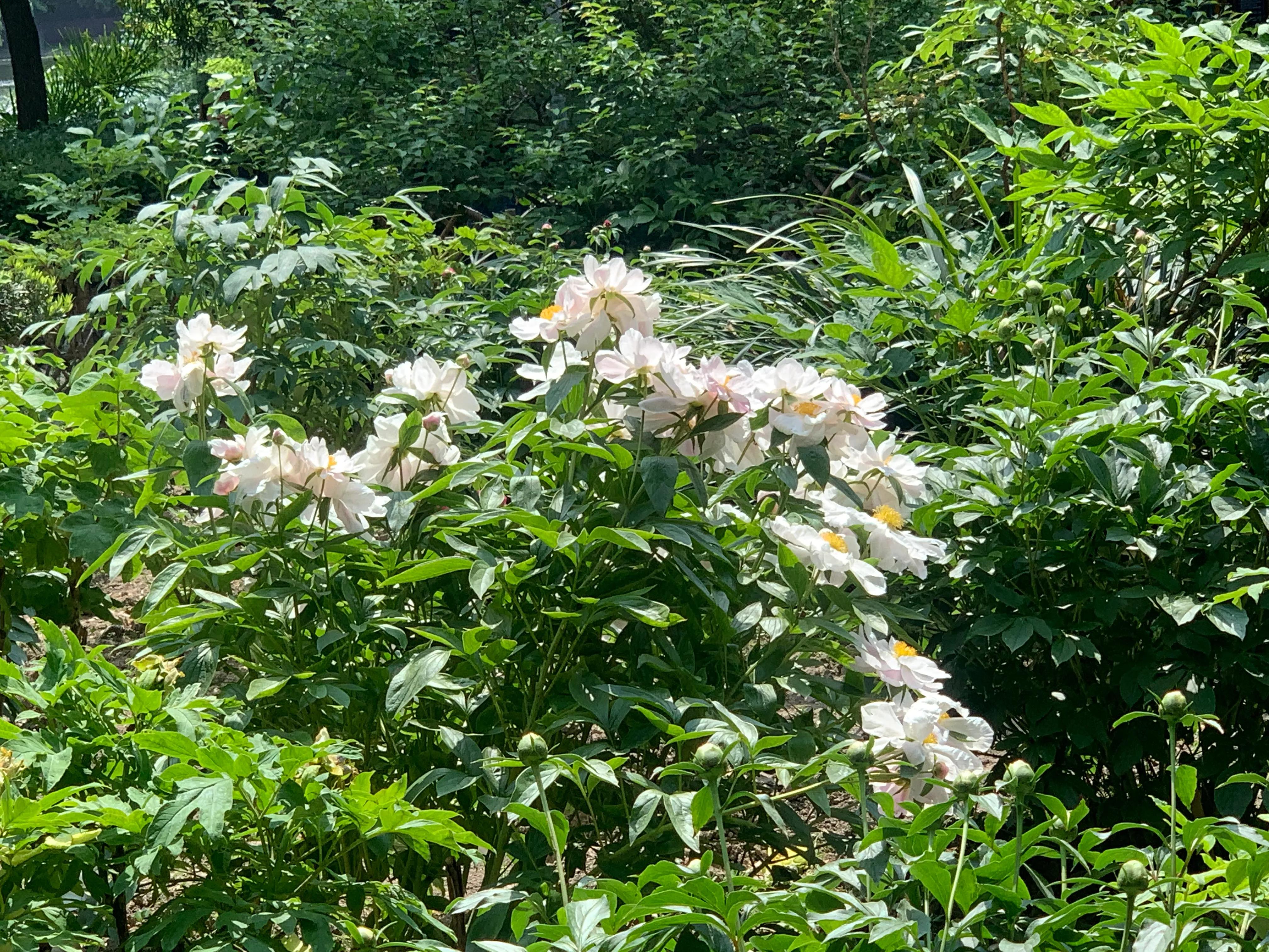 tianshan-park-a-quiet-and-relaxing-place-amidst-the-hustle-and-bustle