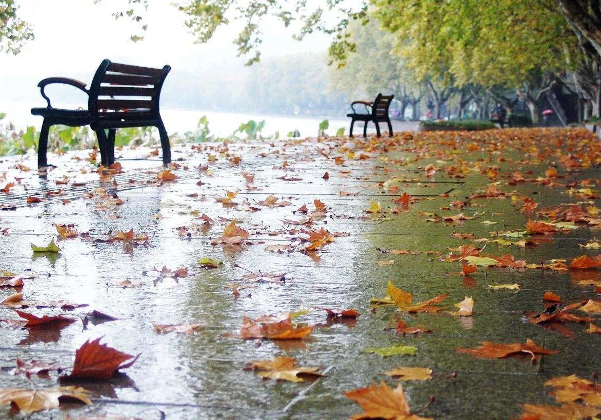 Autumn rain - iMedia