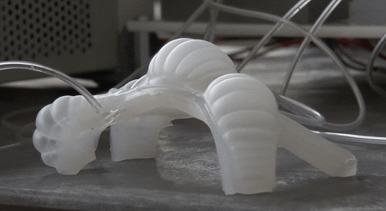 Vines are good for nothing? The bionic robot developed based on vines ...