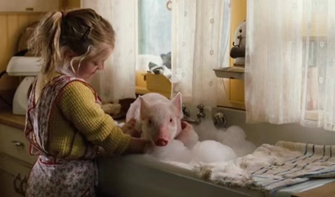 What is the purpose of the American film 