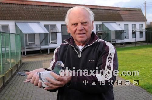 Belgian young bird racer Andre Rudolph - iNEWS
